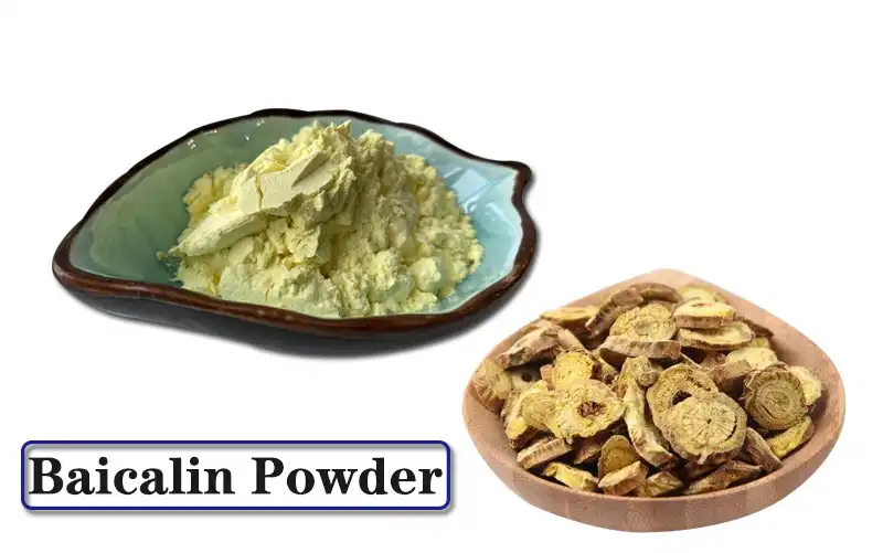 Baicalin Powder.jpg